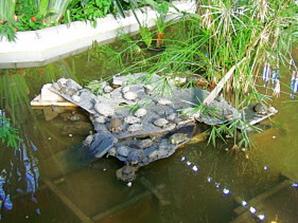 C�rdoba 22.- 26.11.2007 - Heimreise Bahnhof Madrid Atocha (001)