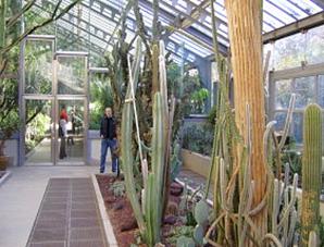 C�rdoba 22.- 26.11.2007 - Heimreise Madrid (004)