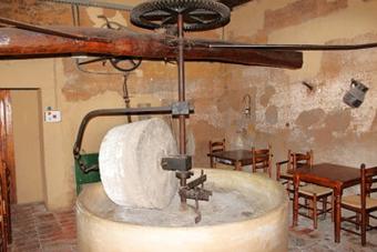 Barcelona 17.- 21.05.2012 - Mittagessen (Restaurant Vinyanova) am 18.05.2012 (006)