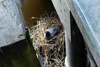 Rotterdam 24.- 27.05.2013 - Schiedam und Jenevermuseum am 25.05.2013 (012)