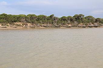 Sanlcar de Barrameda 17.- 21.05.2018 - Nationalpark Coto de Doana am 18.05.2018 (014)