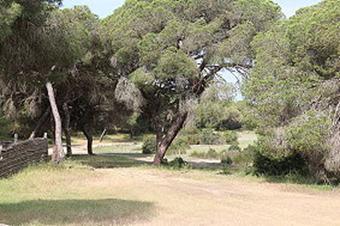Sanlcar de Barrameda 17.- 21.05.2018 - Nationalpark Coto de Doana am 18.05.2018 (021)