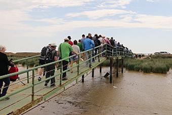Sanlcar de Barrameda 17.- 21.05.2018 - Nationalpark Coto de Doana am 18.05.2018 (026)