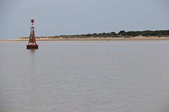 Sanlcar de Barrameda 17.- 21.05.2018 - Nationalpark Coto de Doana am 18.05.2018 (039)