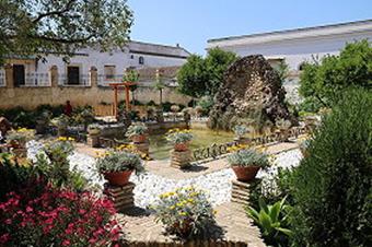 Sanlcar de Barrameda 17.- 21.05.2018 - Fernsehinterview beim Brgermeister von Sanlcar de Barrameda am 19. Mai 2018 (008)