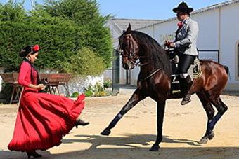 Sanlcar de Barrameda 17.- 21.05.2018 - Besuch der Bodega Delgado Zuleta Desde 1744 + Pferdeshow am 20.05.2018 (002)